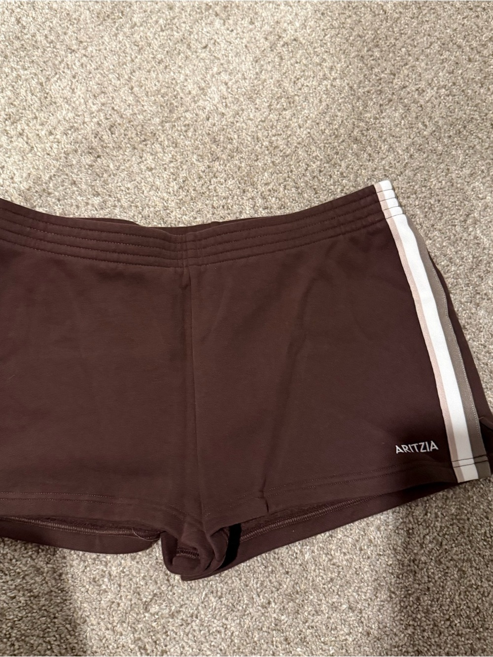 Aritzia Sweatfleece Perfect Fit Shorts with Side Stripe